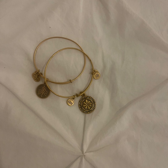 Alex and Ani 2 Bangles 40$ - Picture 2 of 5